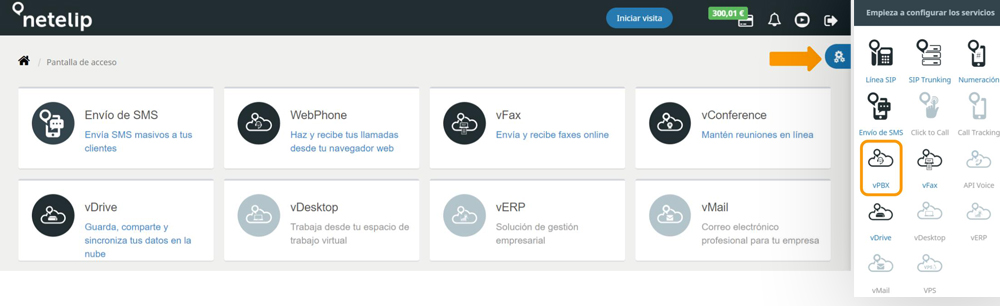 videoconferencia netelip
