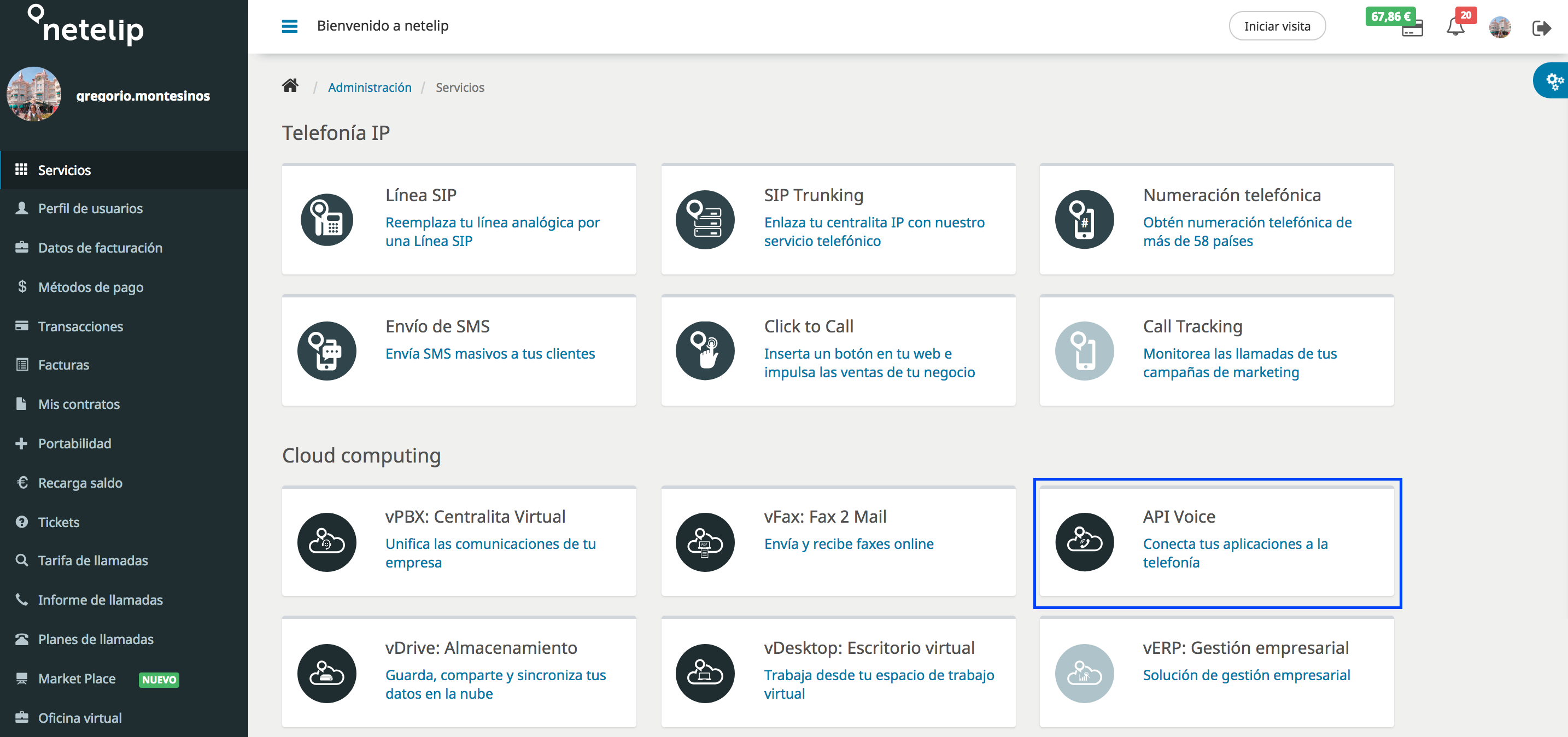 Pantalla de administración API Voice