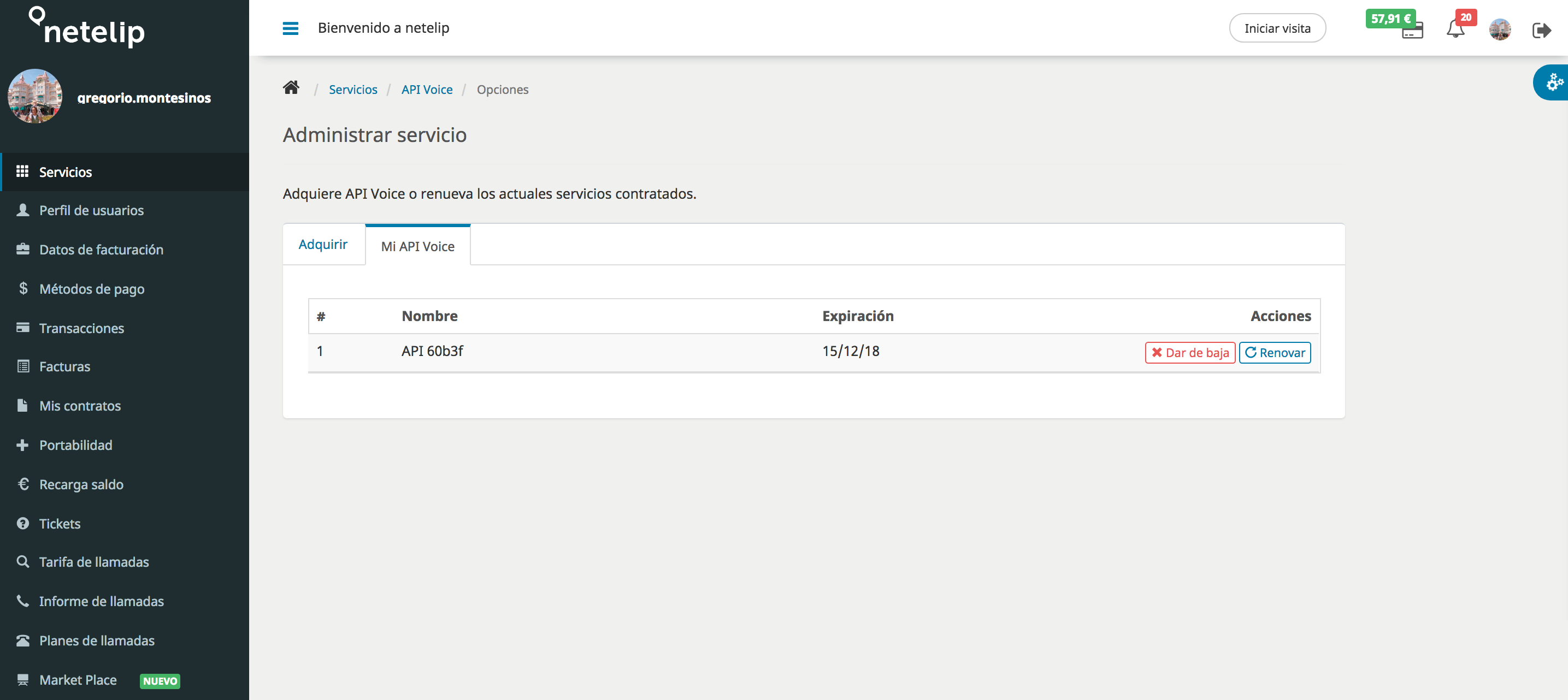 Listados en API Voice