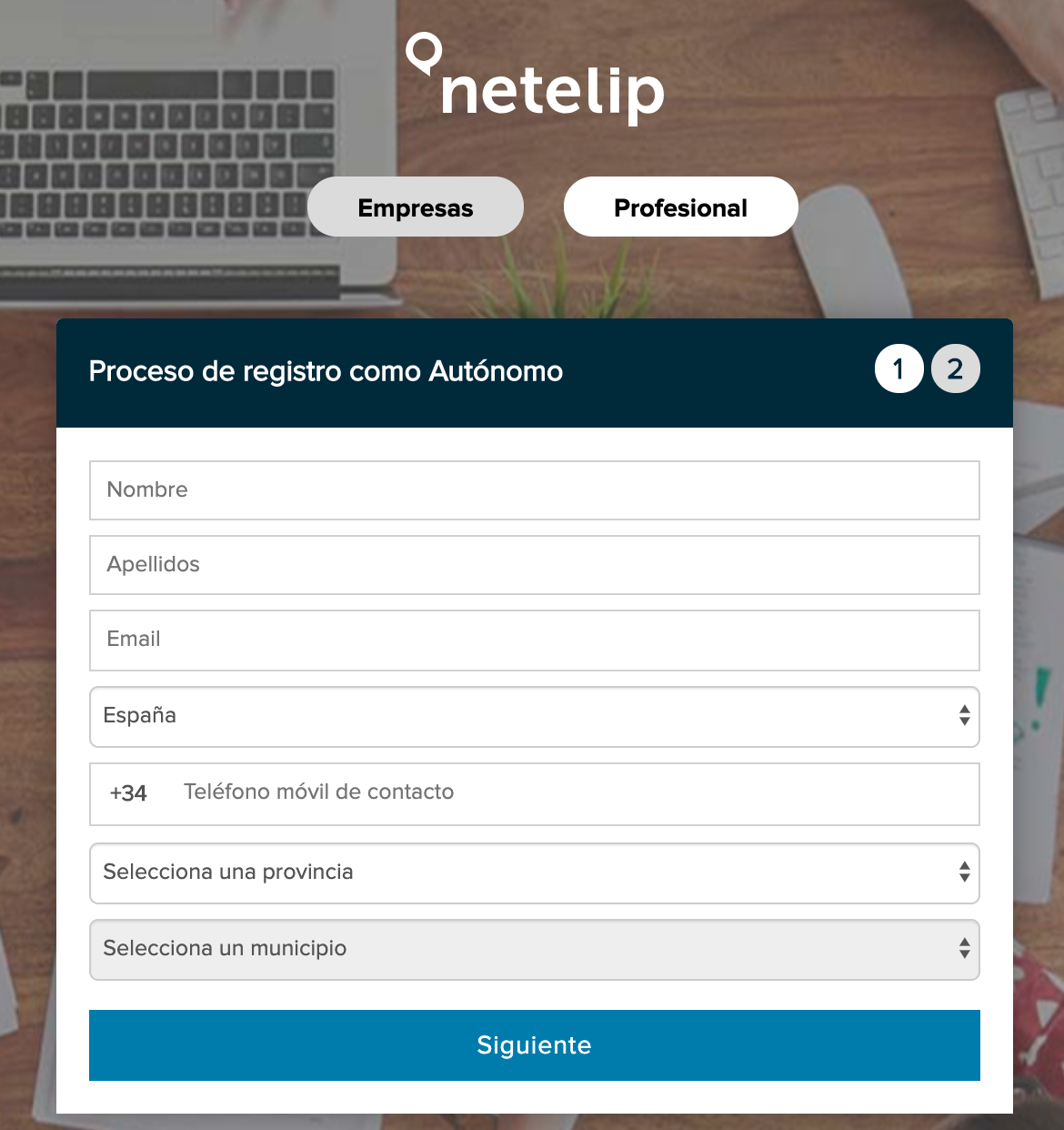 Registro como profesional en netelip