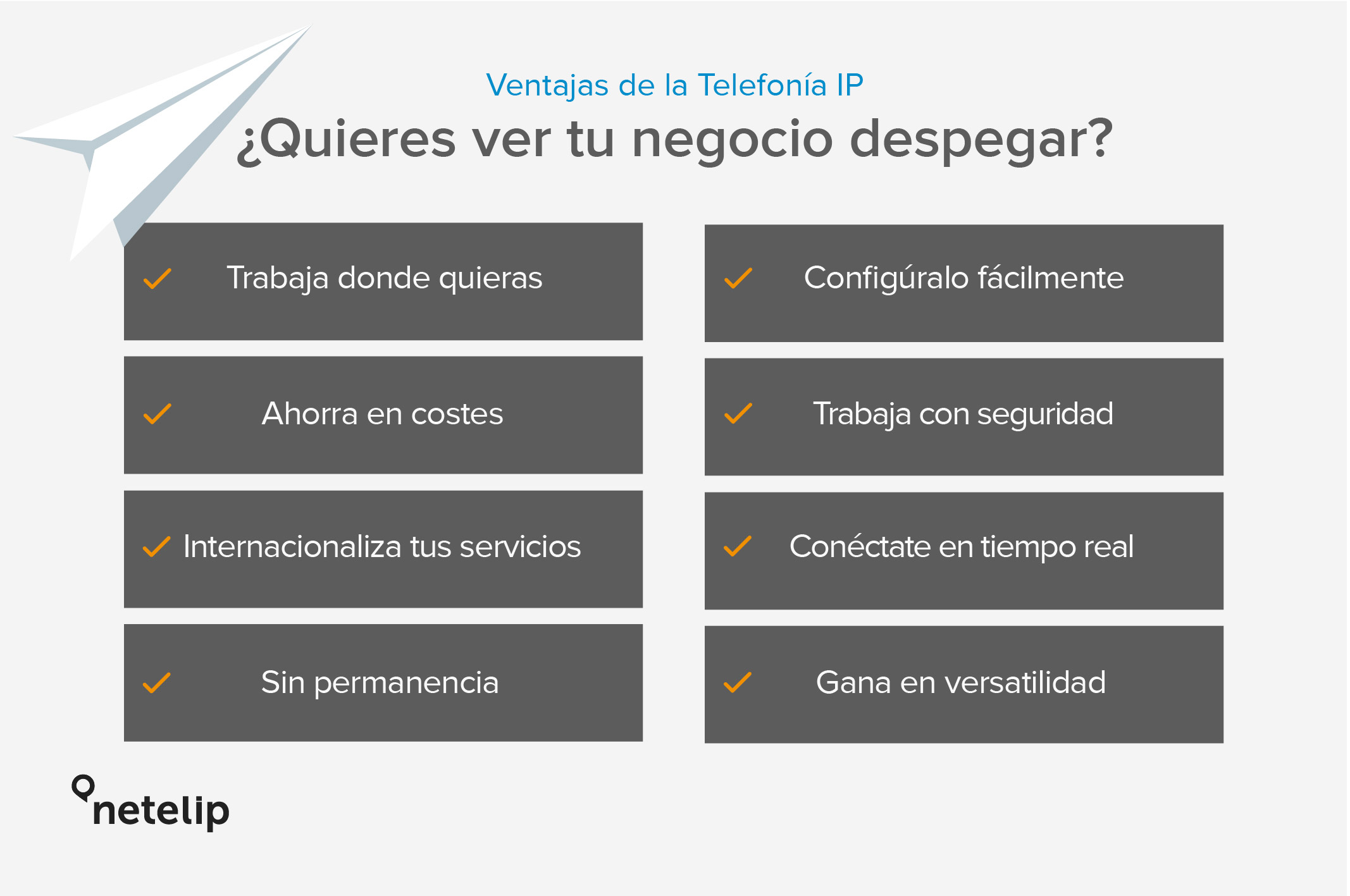 La Telefonía IP con netelip