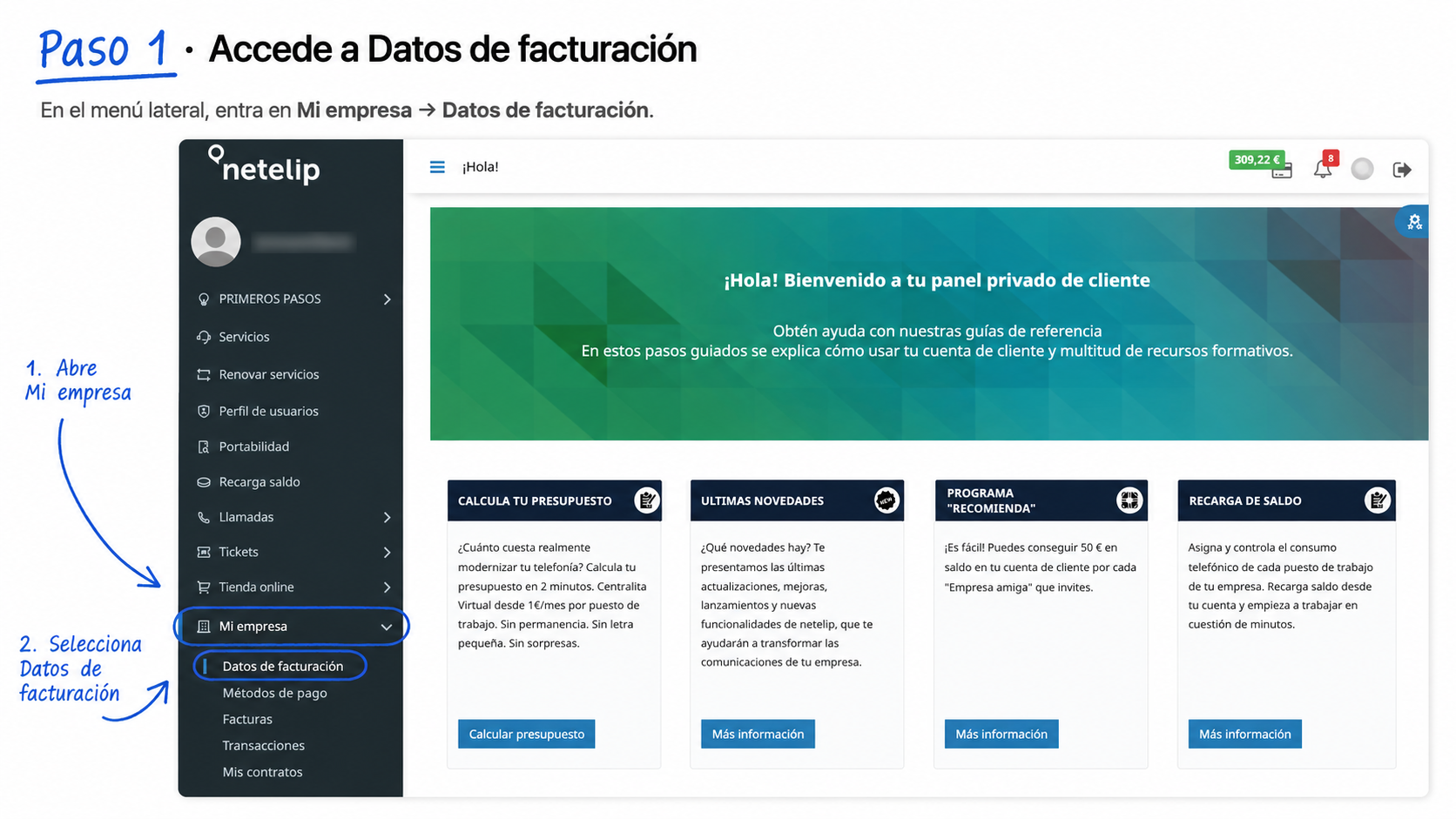 Datos de facturación - netelip