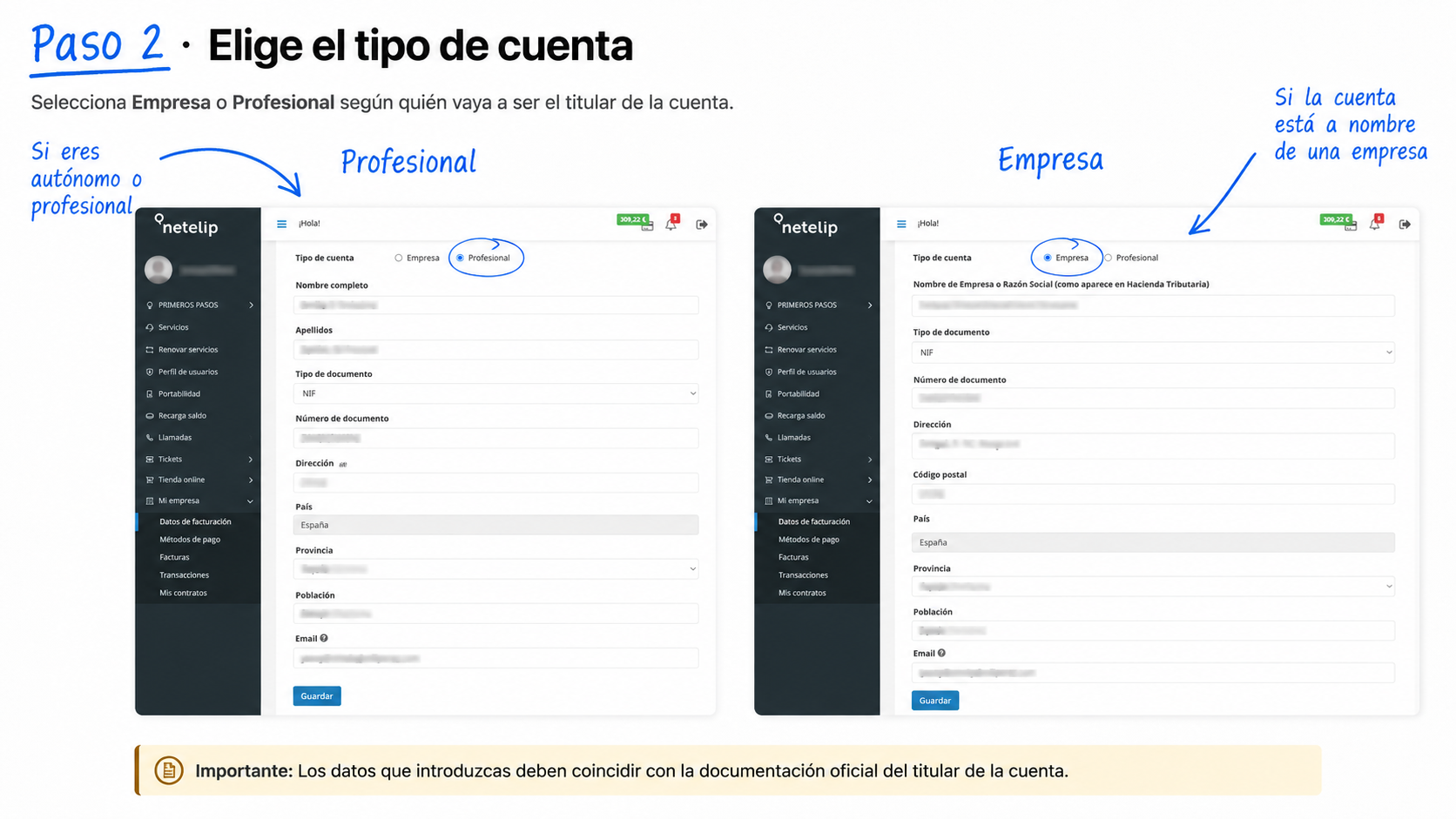 Cambiar - Selecciona Empresa o Profesional - Datos de facturación - netelip